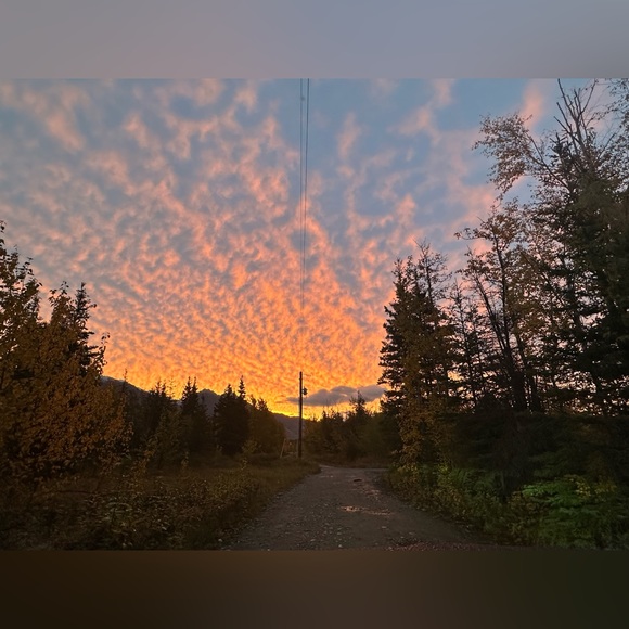 Alaska - Picture 10 of 14